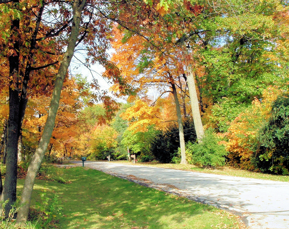 Patzke Lane in Fall
